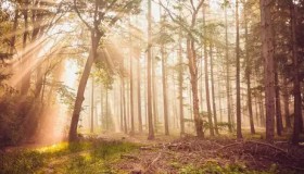 亚洲邀请赛：NS战队零封NIP，WBG战队能否一穿三？中野联动成关键